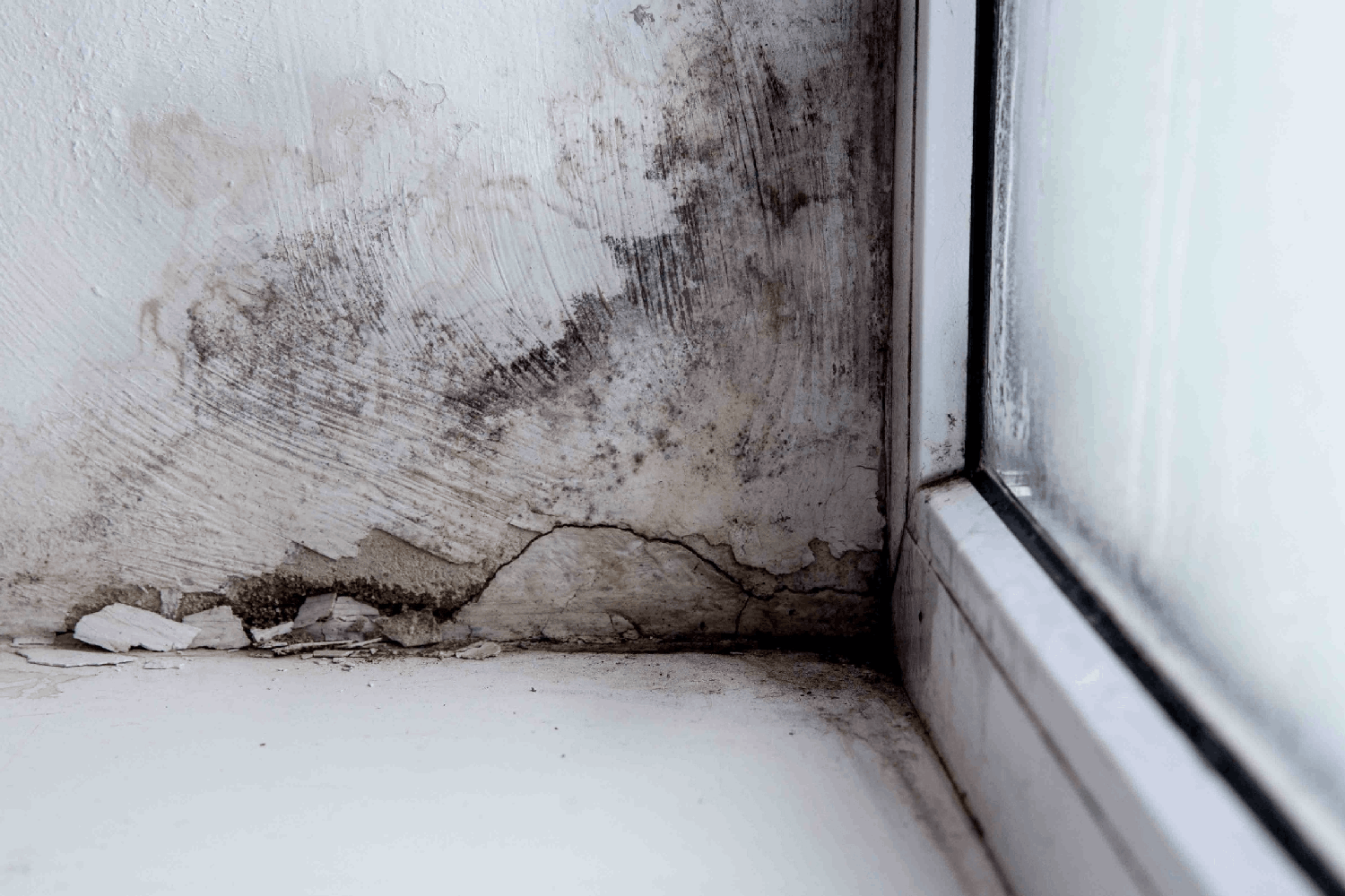 mold in the corner of the window<br />
